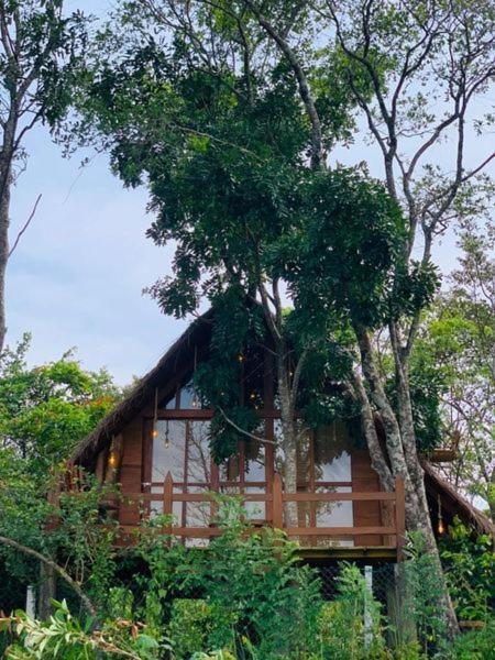 Kale Cottage Belihuloya Exterior photo
