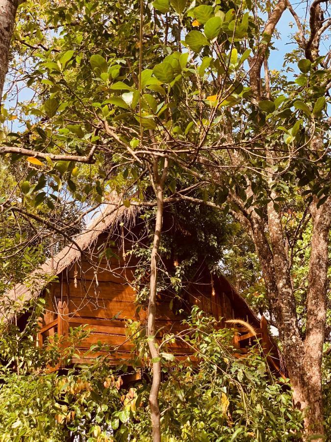 Kale Cottage Belihuloya Exterior photo