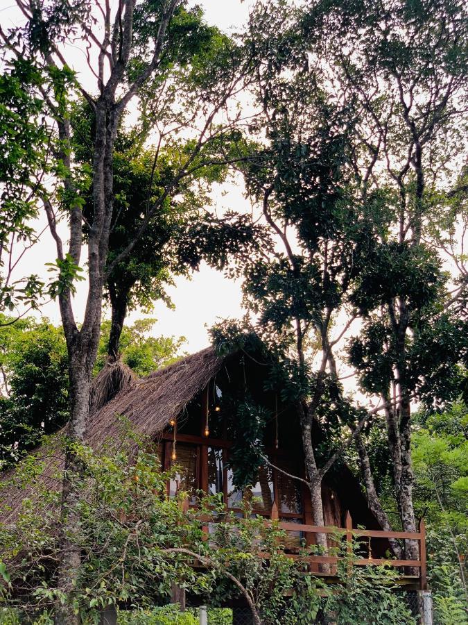 Kale Cottage Belihuloya Exterior photo